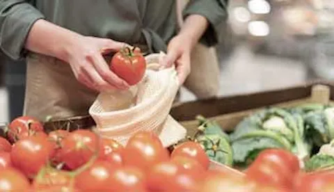 Indústria primária