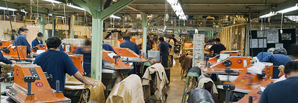 Responsabilidade Social