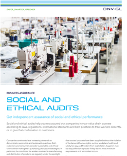 Social and ethical audits