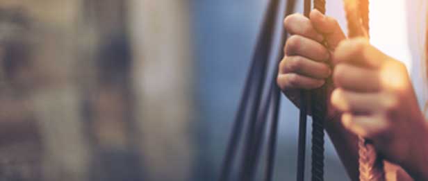 Direitos sociais e humanos 