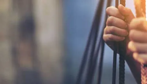 Direitos sociais e humanos