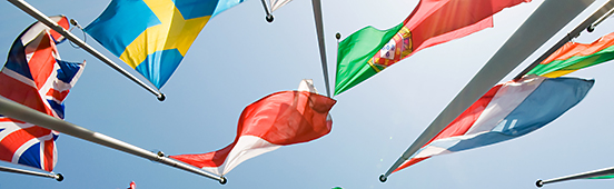 Statutory and Flag State Services