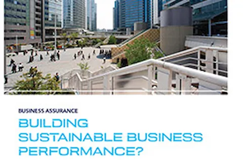 Construindo um Desempenho Empresarial Sustentável?