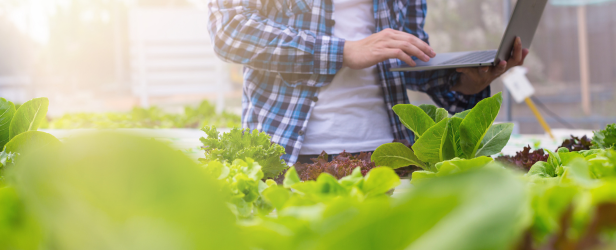 Transição para a versão 6 da FSSC 22000.