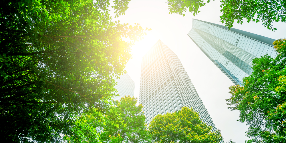 Treinamentos_ESG_1000x500