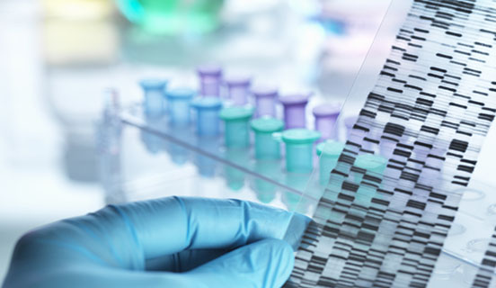 Saúde e Ciências da Vida