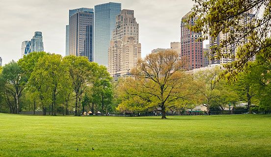 Biblioteca de Webinars: Meio Ambiente & Energia